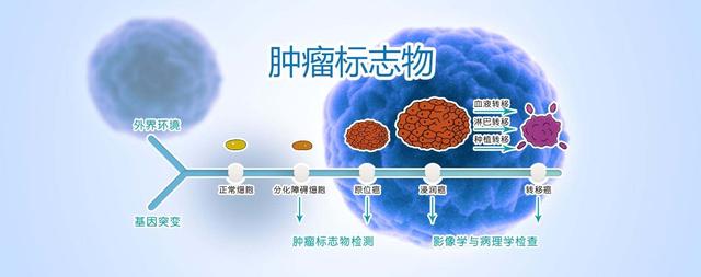 恶性肿瘤|辟谣：肿瘤标志物升高就是得癌症了吗？常见肿瘤标志物解读！