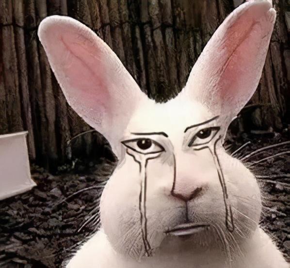 成都的建筑，看起来很好吃