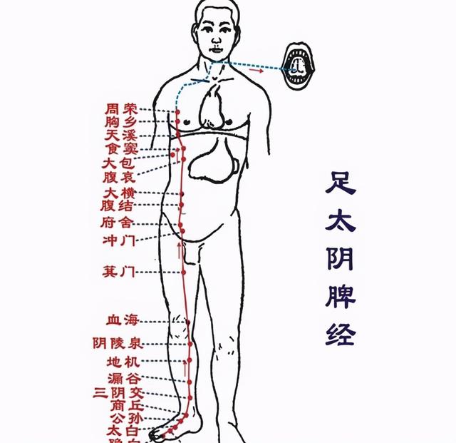 是否脾虚，看嘴就知？调查发现：脾虚的人，大多数嘴巴有2个共性