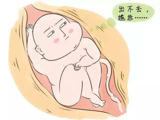 『超级宝妈』婴儿肥胖健康吗?警惕肥胖儿。