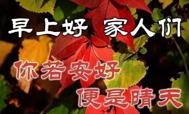 岁月流逝，你我情意不变；时光荏苒，你我牵挂依然。早安