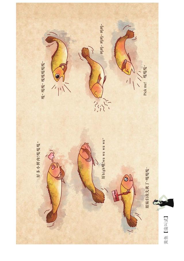 跟随古人《海错图》足迹，与“神婆”一起尝遍各地绝美鲜物