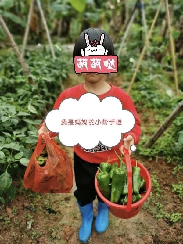 夏以乔木@都是羊奶惹的祸！频繁生病的娃要这么带