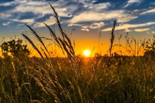 Life has three kinds of exhaustion: excessive thinking, inability to speak, and no one understands. Endure, and you will win.