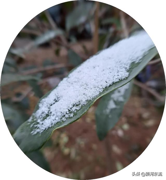 人生如雪，来去清白