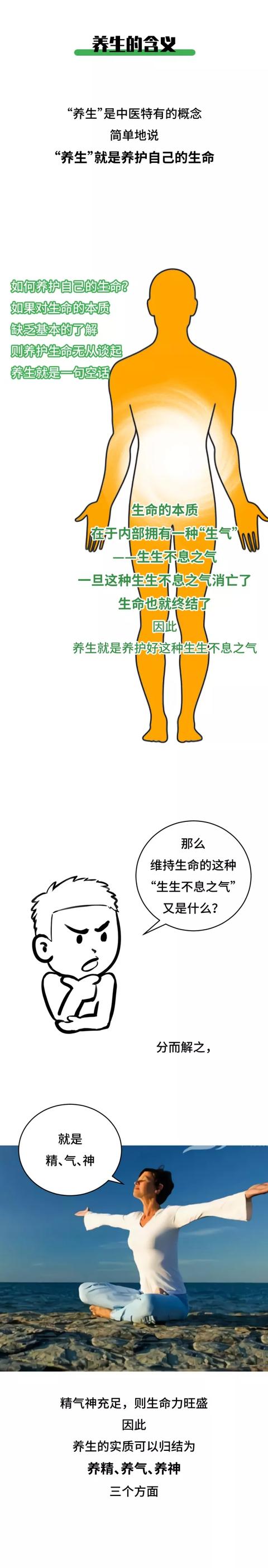 养生的实质：养护精气神（漫画版）