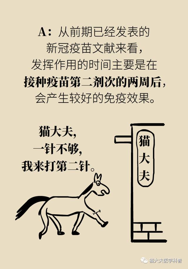 新冠疫苗谁能打？打了能管多久？……你最关心的问题这里有权威答案