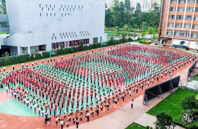 红色|云南财大附中：“十学十促”党史学习教育有效推进党组织建设