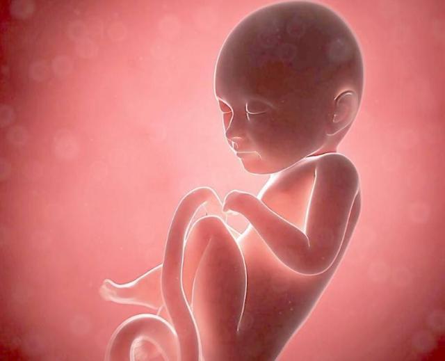 对他宝宝来说,他怀孕36周开始他们会在妈妈的肚子里调整自己的姿势