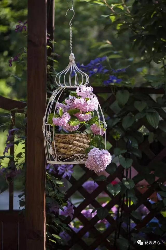 圆一个心中的花园梦……