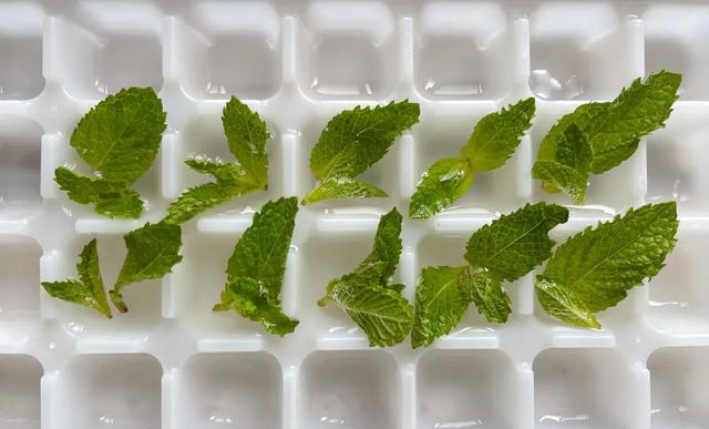 山药|天热没胃口？i金山小编亲测做出这些专属夏日的绿意美食，保证个个治愈你