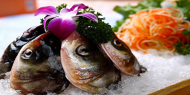 百亿餐饮巨头没落，曾比肩海底捞，如今创始人1500万成老赖