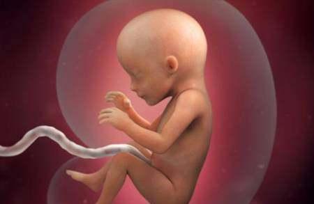 「你的育儿经」在子宫里发育不错的宝宝，大多有这3个特点，孩子赢在起跑线上