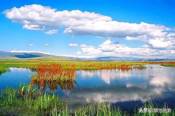 【世界那么大】全中国第二大草原，神奇的和它的名字一样特别，你知道是哪里吗？