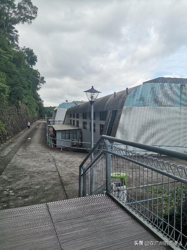 【山楂味的诗】走马观花，看顺德大良。