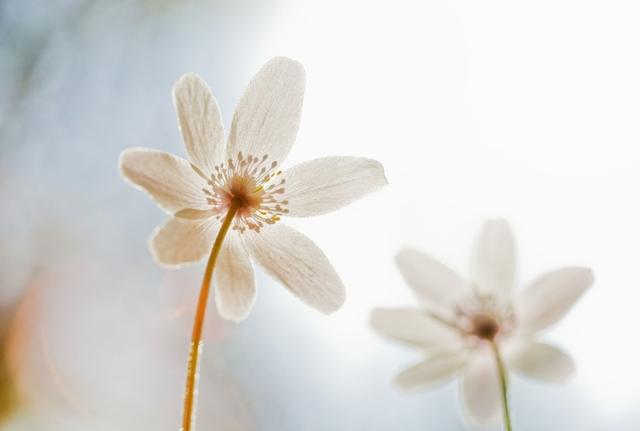 No matter how bad today is, don't lose hope in life, because there is tomorrow.