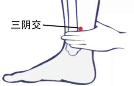 你的育儿经:如何让宝宝在春季多长高?中医有妙招