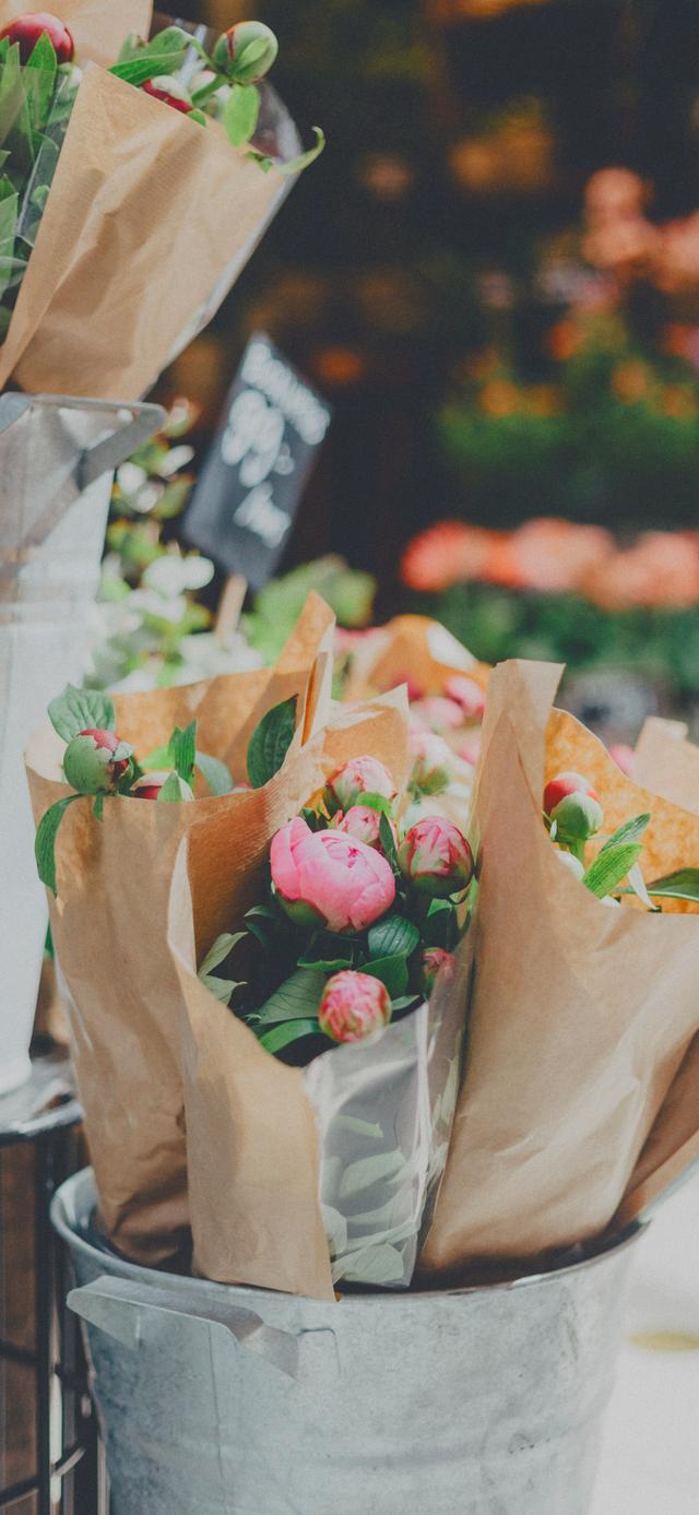 壁纸优选：分享一些不错的手机壁纸