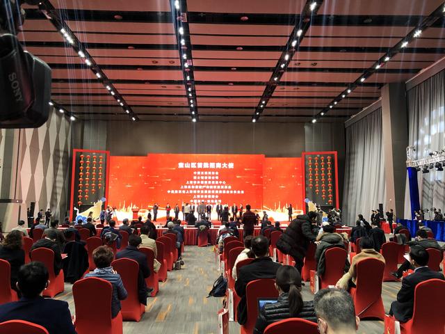 项目|超10亿元产业项目投资规模创历史之最！宝山区集中开工一批重大项目，总投资200亿元