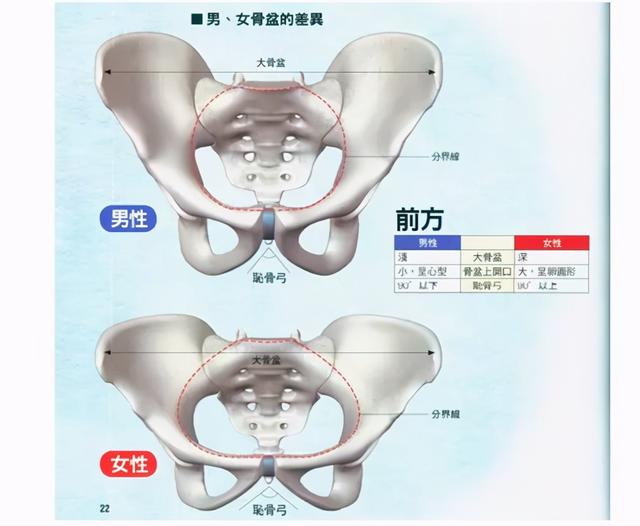 产后尴尬：咳嗽跳绳就漏尿？一个动作可以帮你改善