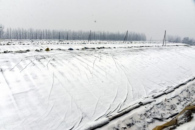 骤降14℃！寒冷天气下，老年人如何预防心脑血管风险？来看此文