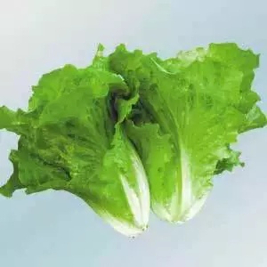 雾里看小花■儿童所需蔬菜排行榜！