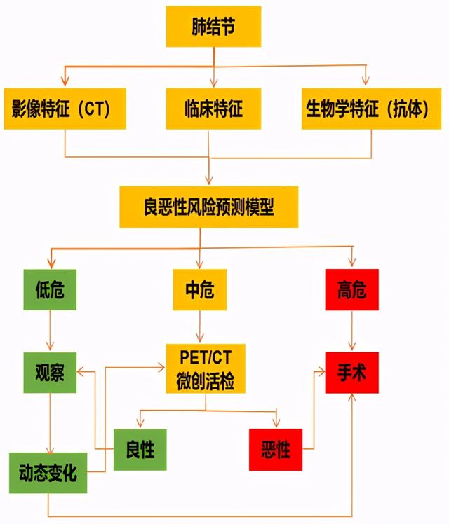 刘德若：对肺小结节和1a期肺癌应作何思考？（下）