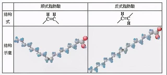 每年致死50万人，反式脂肪酸这个健康杀手，你吃的食物里就有