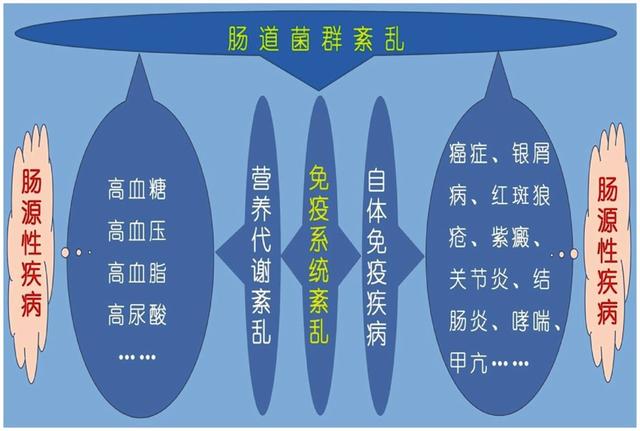 延长寿命50%！肠道益生菌可能是人类长寿与健康的关键