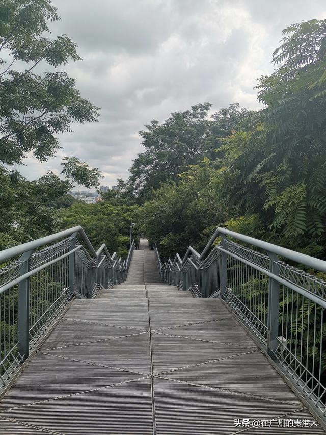 【山楂味的诗】走马观花，看顺德大良。