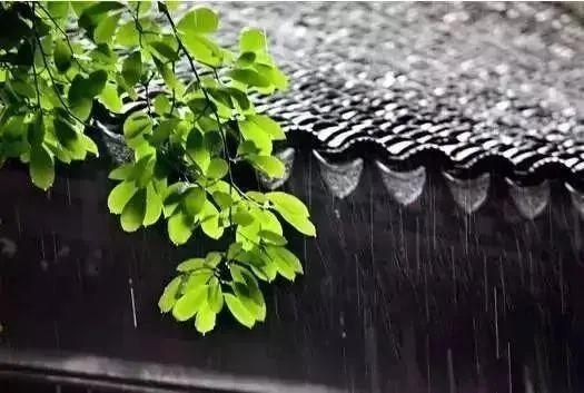 除湿|梅雨季衣服总是干不了？选对一台除湿机就够了