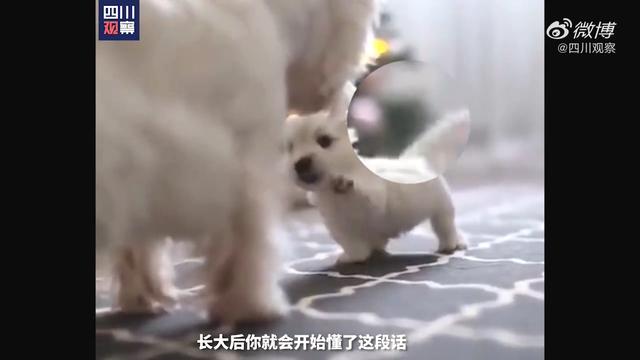 超级宝妈|这些萌宠们的亲子瞬间里，有你的童年记忆吗？