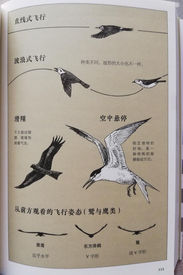 超级宝妈@开启孩子丰富的感官，捕捉世间无处不在的趣味