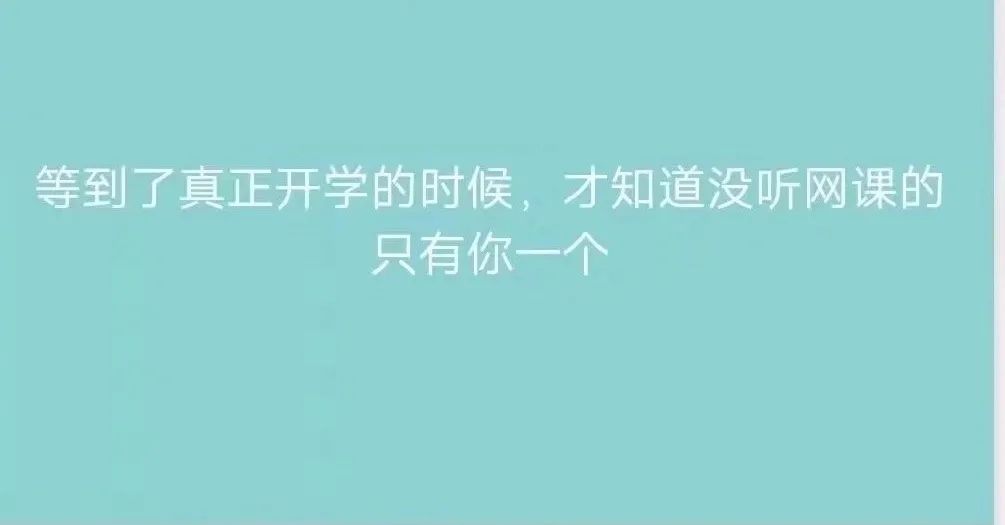 暖先生格调:等到真正开学的时候,才发现没听网课的只有你一个