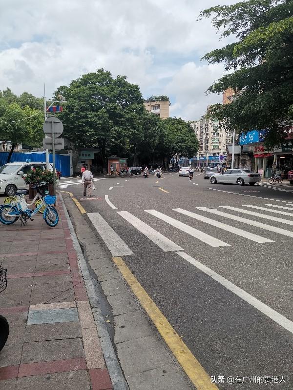 【山楂味的诗】走马观花,看顺德大良。