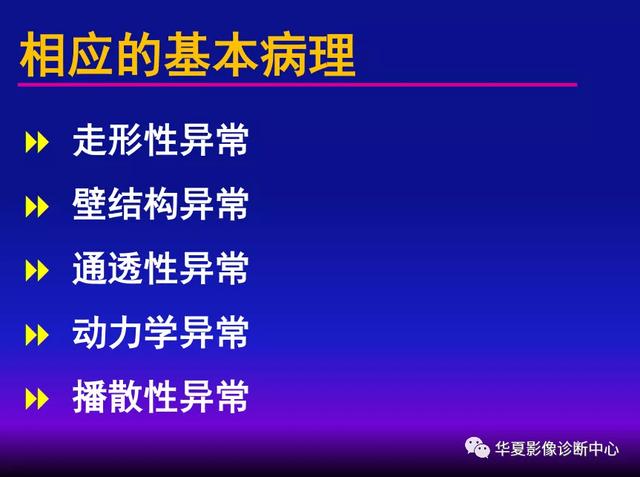 肺间质性疾病的解剖、病理、影像分析