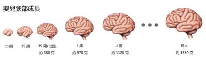 你的育儿经▲最强大脑最小选手仅12岁:烧脑要趁早,这4益智游戏你带孩子玩没