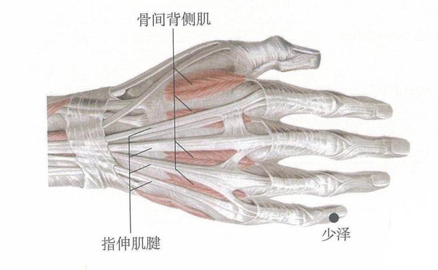井穴养生，教你如何快速掌握重要的穴位知识