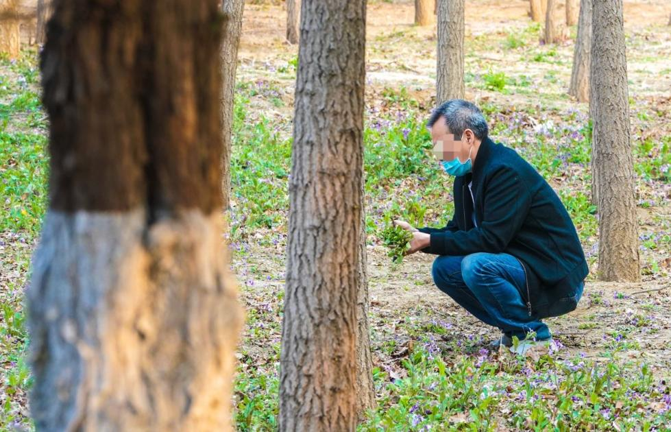 #暖先生格调#疫情还未结束，又有人把手伸向“野味”？千万别带着孩子去做这件事！