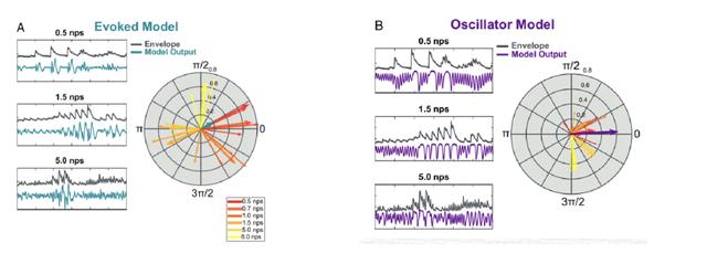 PNAS：音乐刺激调制神经节律的两种理论模型