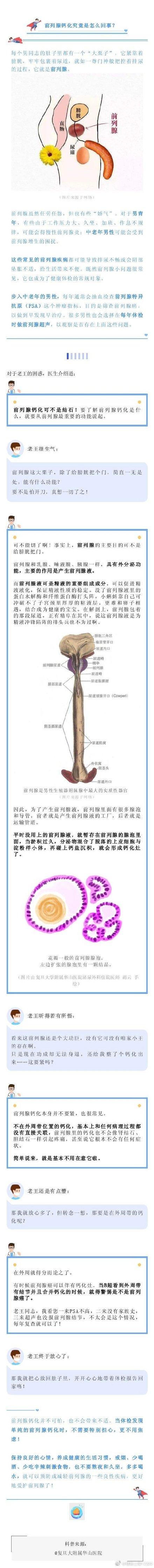 送给男性→ 钙化=结石？前列腺：我有点方……