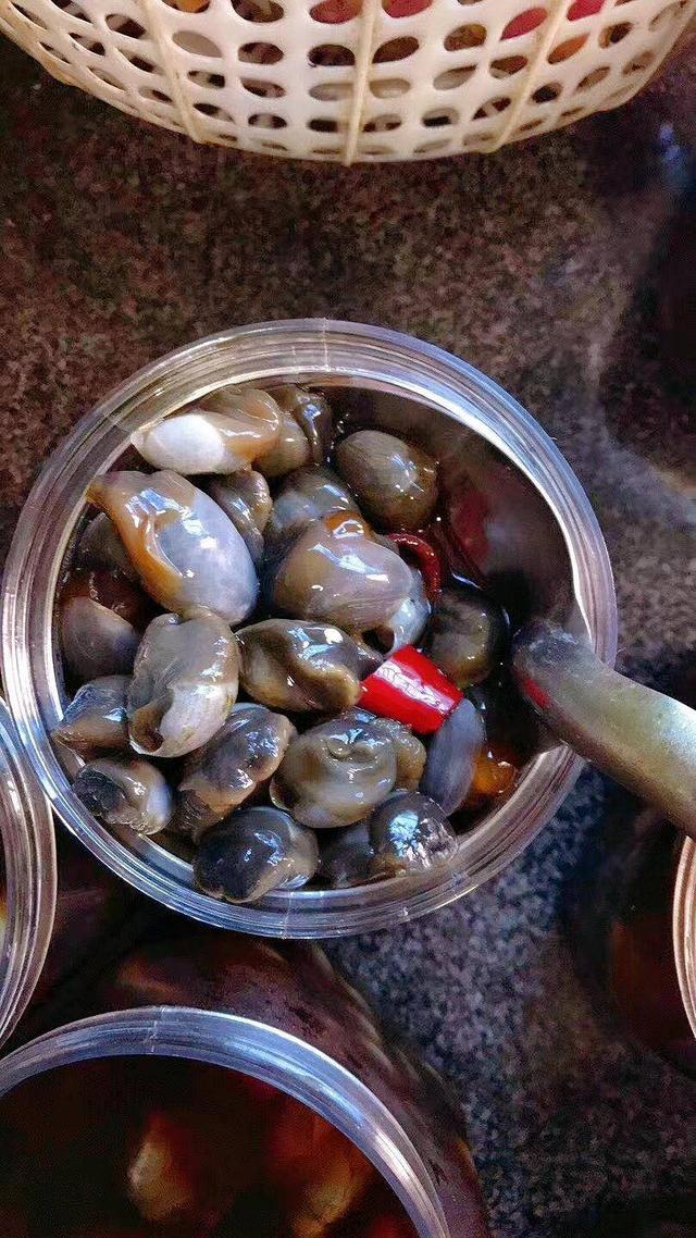 泥螺|桃花泥螺，来自大海的第一口“春天”