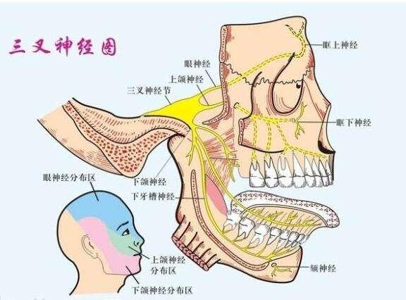 三叉神经疼痛难忍，专家为你出谋划策