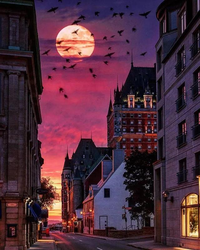 [旅行柚子君]在加拿大的星空下，闪耀女神的光芒吧