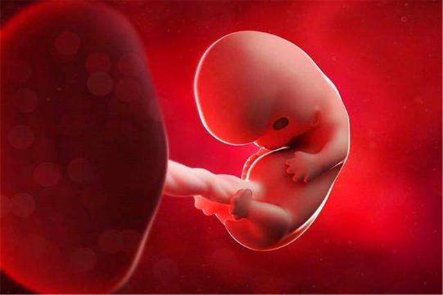 大眼睛的女孩|胎儿畸形这几周是危险期,只要熬过去,孕妈就可松口气了