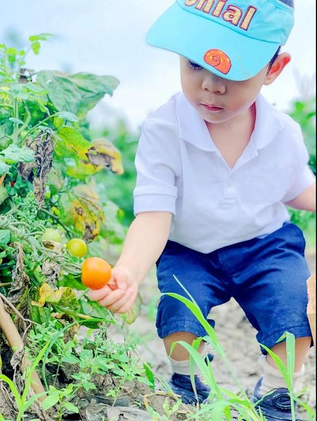 「上观新闻」华东师范大学知序实验幼儿园招生啦！面向全区，托班、小班、中班皆能报名