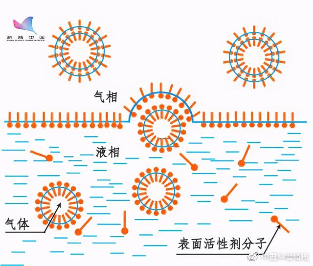 洗衣液泡沫越多越好？这么多年的衣服白洗了