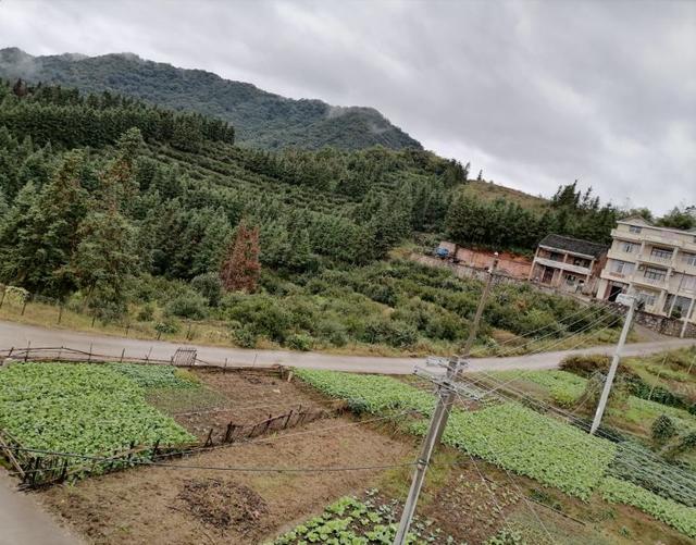 秋天一一雨后乡村