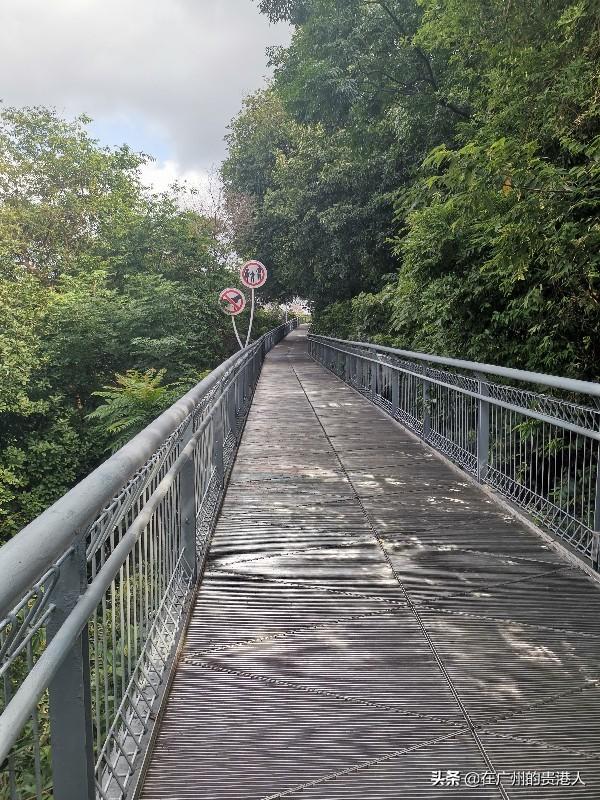 【山楂味的诗】走马观花,看顺德大良。