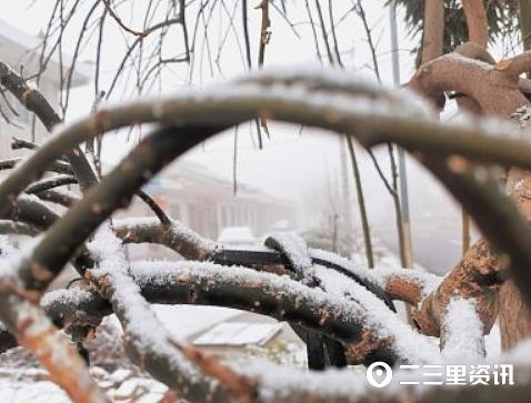 趣旅游■看看窗外的雪！美丽乡村的美景无处不在，令人眼花缭乱